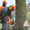 Бензопила- обрезка и спил деревьев - Изображение #2, Объявление #57787