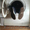 Срочный ремонт стиральных машин и холодильников у вас дома #372550