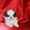 Продам не дорого  щенка  Японского хина - Изображение #1, Объявление #423262