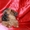Продаются щенки брюссельского гриффона и пти-брабансона - Изображение #2, Объявление #423239