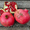 Саженцы граната, инжира, лимона, клубничного дерева - в продаже осенью - Изображение #2, Объявление #667947