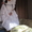 продам красивое пышное белое свадебное платье - Изображение #2, Объявление #696191