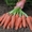 Лук и морковь - Изображение #2, Объявление #719023
