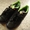 Кроссовки Adidas - Изображение #4, Объявление #737634