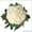 Семена Китано. Предлагаем купить семена цветной капусты Ванза F1  #1190601