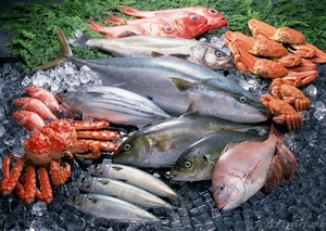 Морская рыба и морепродукты - Изображение #1, Объявление #35871