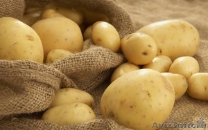 Продам молодой картофель - Изображение #1, Объявление #721473