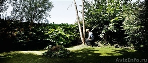 спил деревьев во дворе, на даче и участке - Изображение #1, Объявление #919006