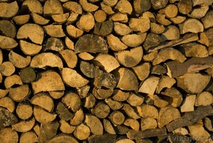 Продажа дров в Волгограде и Волжском с доставкой - Изображение #1, Объявление #159888