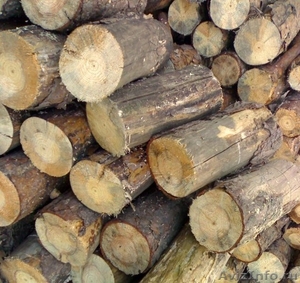  продаем дрова для отопления - Изображение #1, Объявление #1167141
