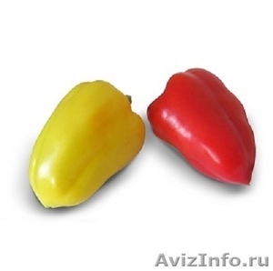 Семена Китано. Предлагаем купить семена сладкого перца Яника F1 - Изображение #1, Объявление #1190606